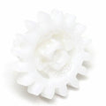 Refrigerator Freezer Drawer Gear - Genuine OEM