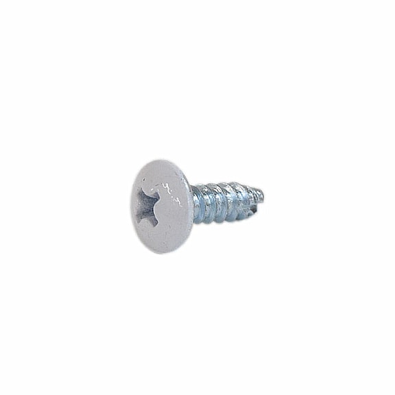 Refrigerator Screw - Genuine OEM