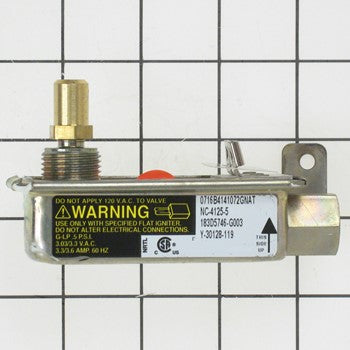 GE WB19K31
